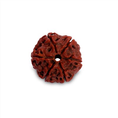 isha 六辦金剛菩提子 